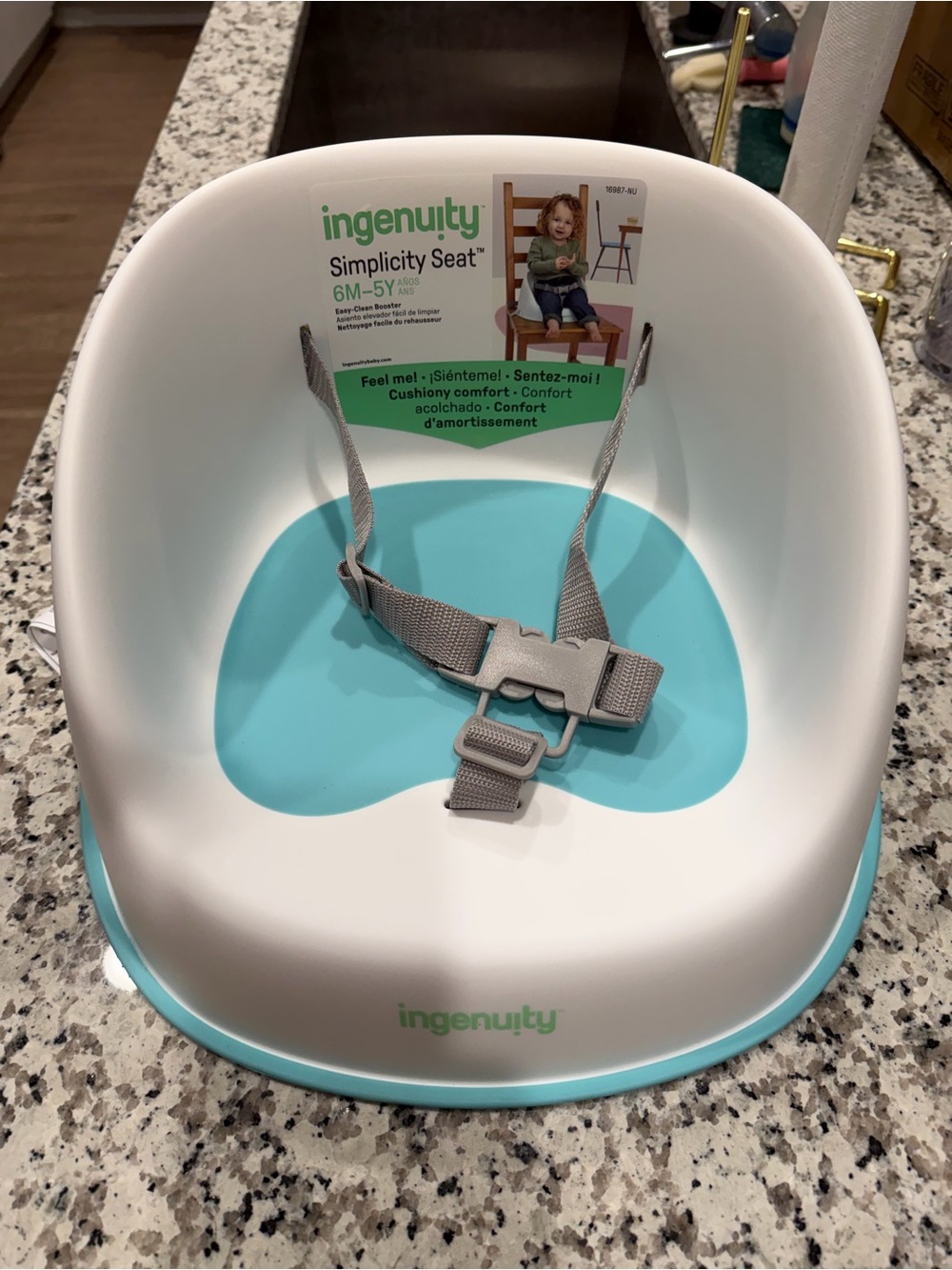 Ingenuity Simplicity Seat Baby Floor Seat in Aqua